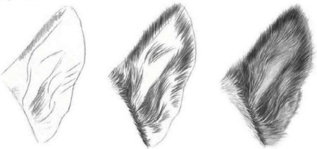 Рисование кошачьих ушей