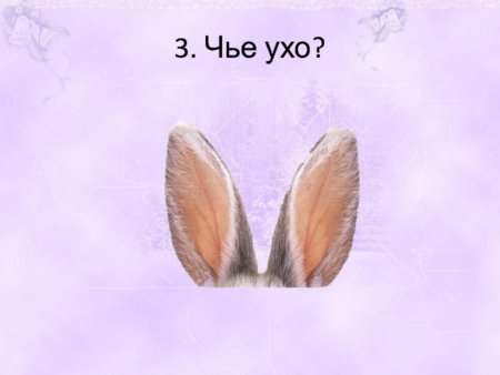 Уши животных для детей