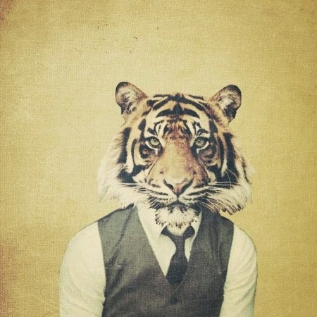 Человек с головой тигра