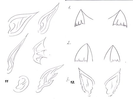 Уши для бумажного дракона