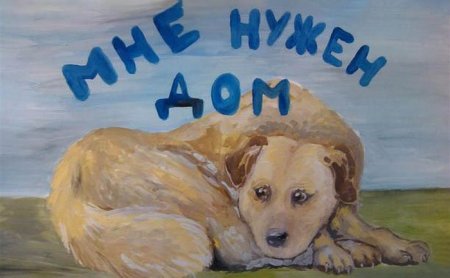 Плакат бездомные животные