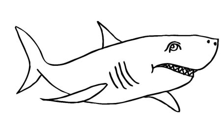 Акула раскраска