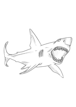 Раскраска акула МЕГАЛОДОН