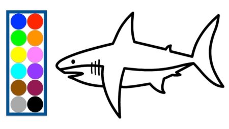 Нарисовать акулу