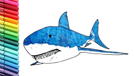 Мультяшные акулы милые