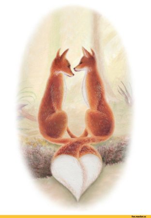 Влюбленный Лисенок