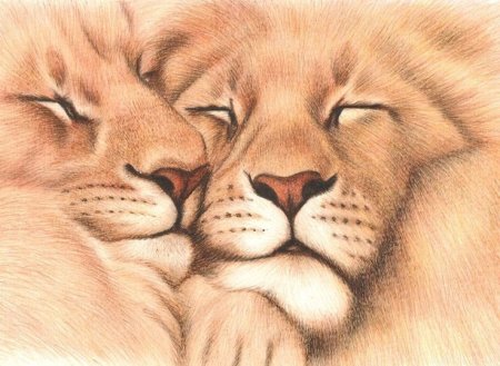 Любовь животных живопись