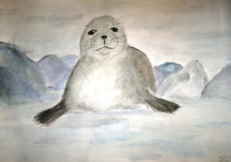 Рисование нерпы