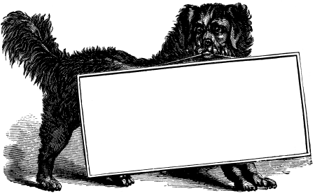 Рамка с собаками