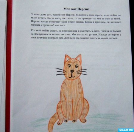 Рассказ про кота