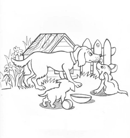 Домашние животные и их Детеныши раскраска