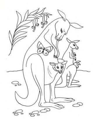 Раскраски животных и зверей