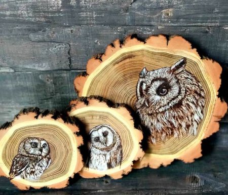 Сова на спиле дерева