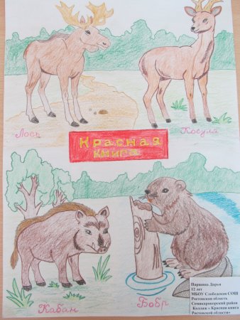 Рисунок на тему красная книга