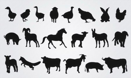 Животные силуэт