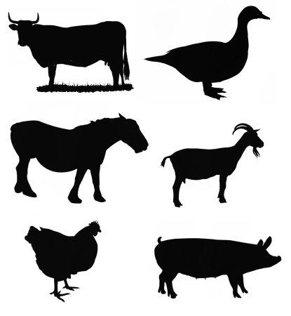 Силуэты диких животных