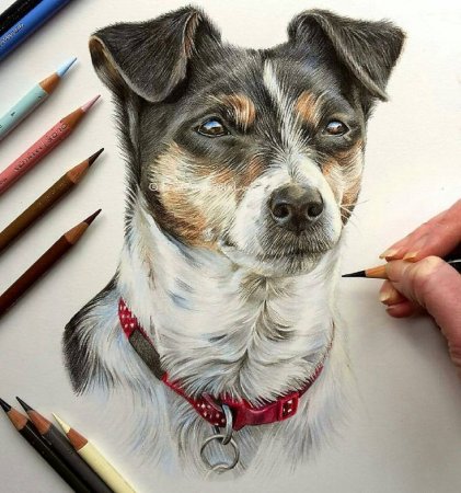 Реалистичные рисунки животных