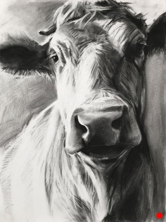 Рисование животных углем