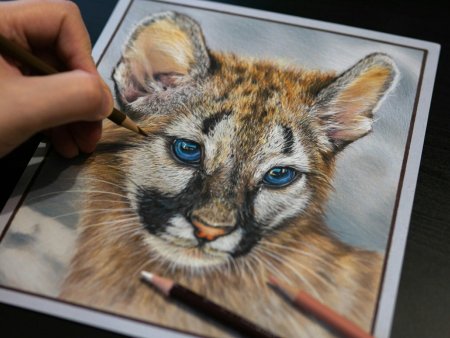 Рисунки животных профессиональные