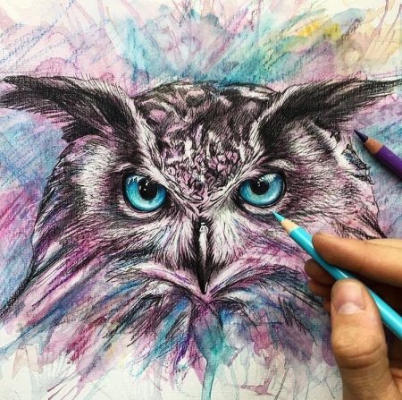 Рисунки цветными карандашами животные