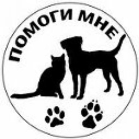 Помощь животным рисунок