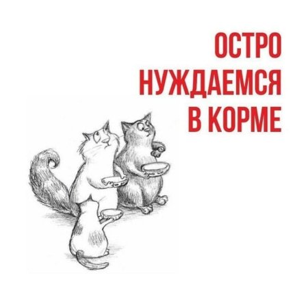 Бездомные животные рисунок