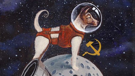 Первые собаки в космосе
