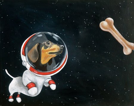 Собака в скафандре