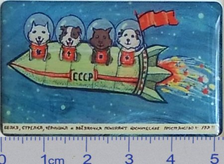 Животные на орбите рисунки