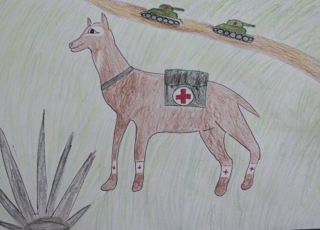 Рисунки на тему животные и война