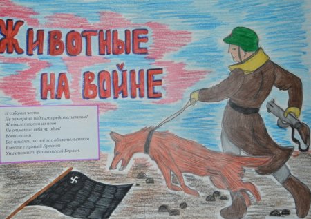 Конкурс по рисованию собак