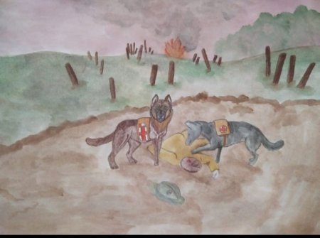 Собаки герои Великой Отечественной войны рисунки