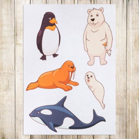Северные животные для детей