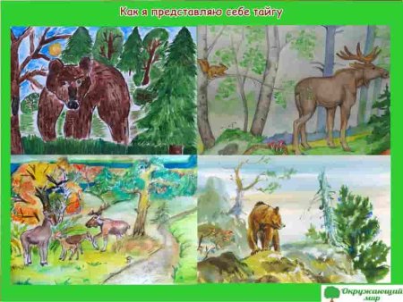 Рисунок леса для детей