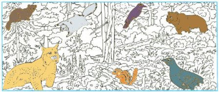 Растения обитающие в тайге