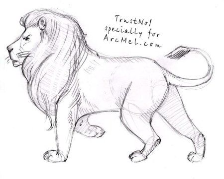 Рисунки животных для срисовки