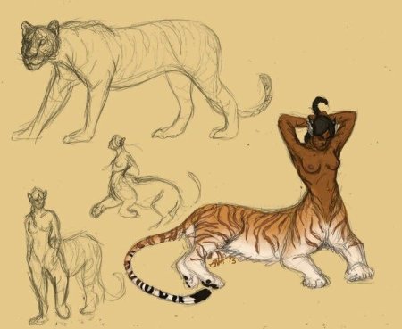 Кентавр тигр референс