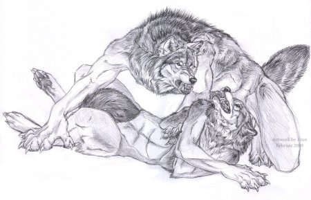 Оборотень рисунок карандашом