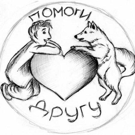 Защита животных рисунок