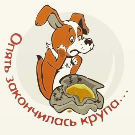 Еда для бездомных животных