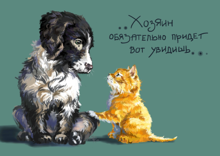 Животные ищут дом