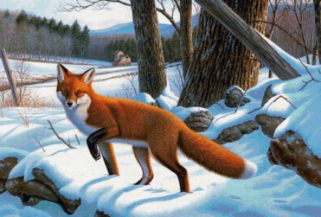 Животные леса зимой