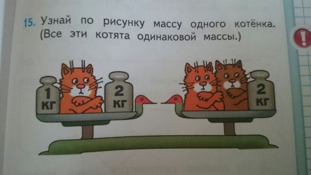 Задача про котят