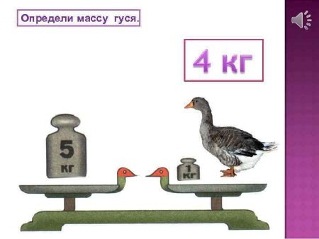 Определи массу предметов