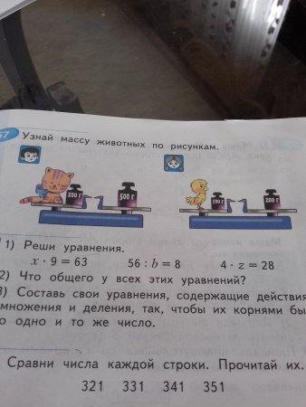 Определи массу курицы