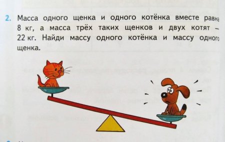 Определите массу животных по рисунку