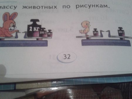 Измерение массы задания для дошкольников