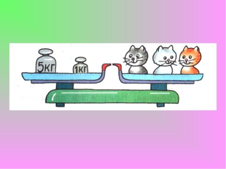 Интересная математика: определяем вес животных