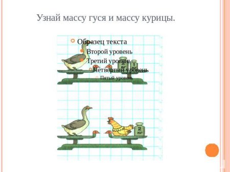 Задача с котами и собаками