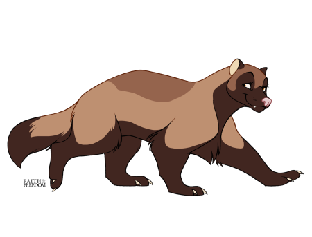 Росомаха животное